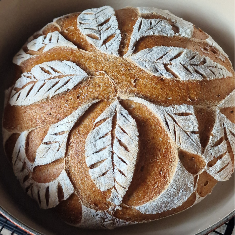 Kursaufzeichnung: Glutenfreie Backliebe – Brot & Brötchen für jeden Tag