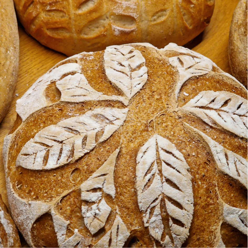 Individuelle Einzel- & Gruppenkurse